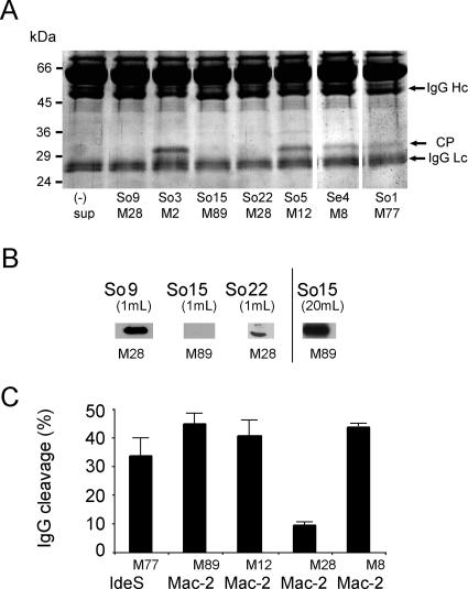 FIG. 1.