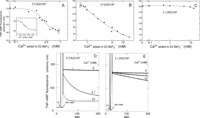 FIGURE 10.