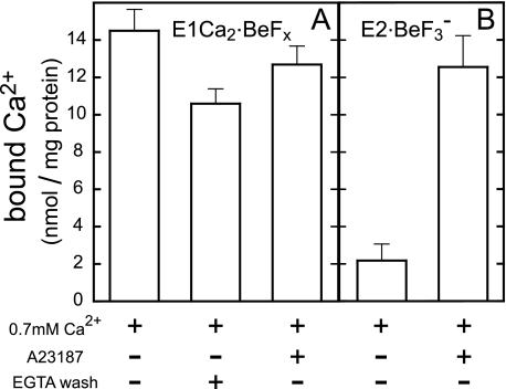 FIGURE 9.