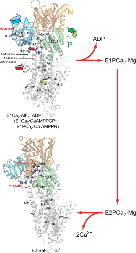 FIGURE 2.