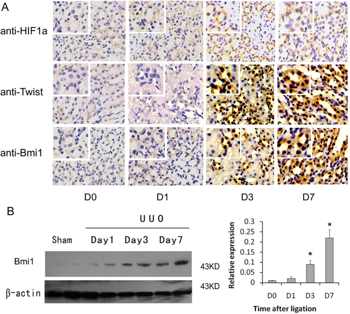 FIGURE 6: