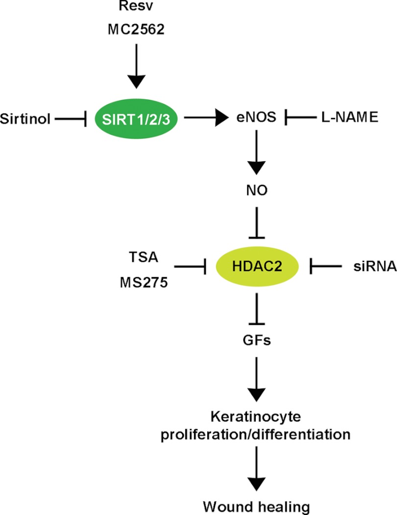 FIGURE 7.