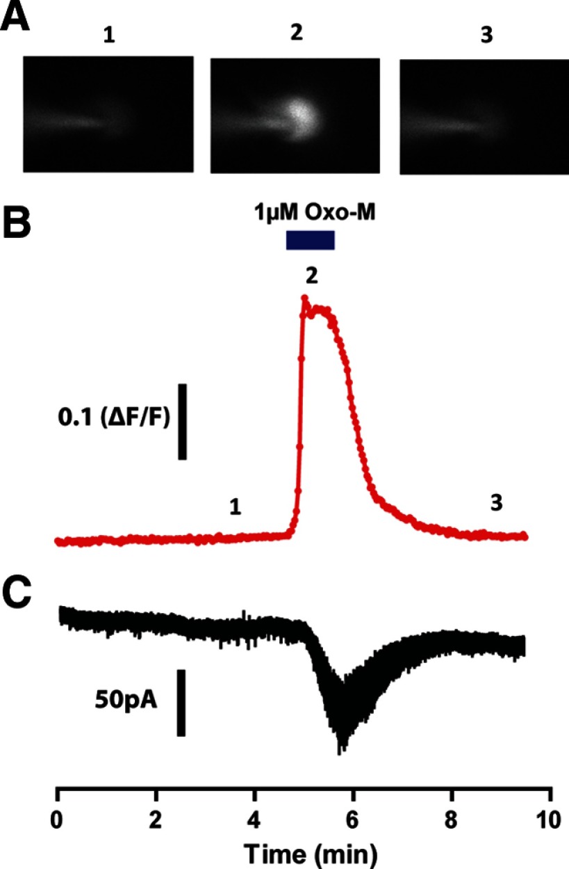 Figure 4.