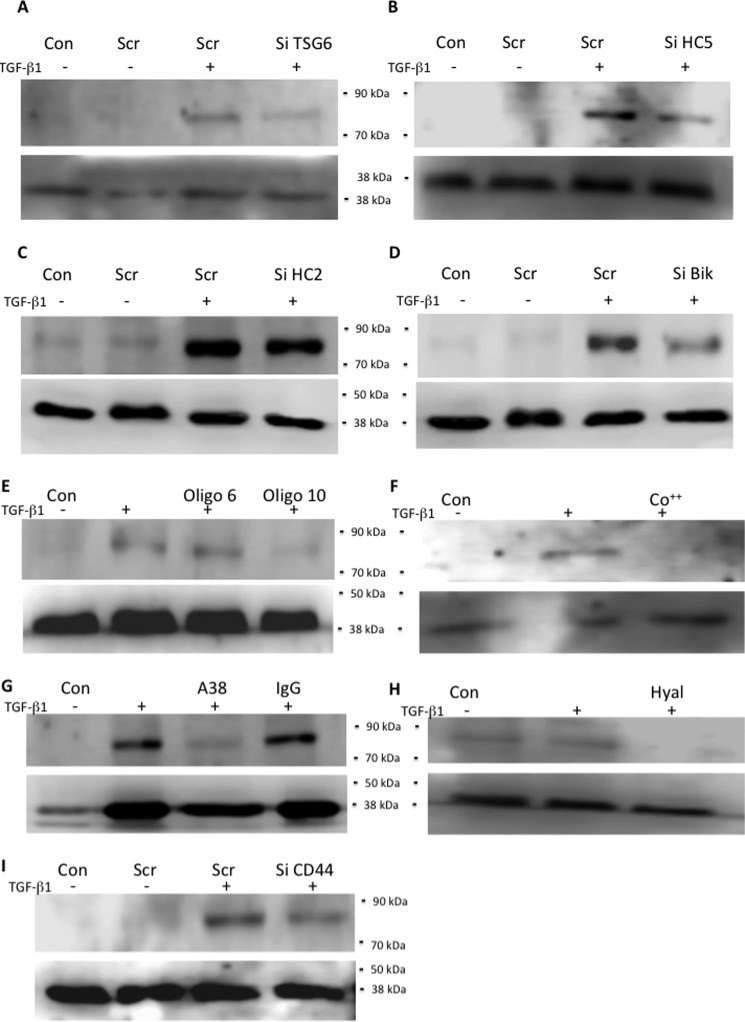 FIGURE 9.