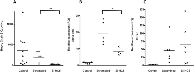 FIGURE 10.