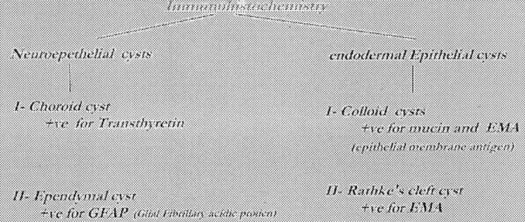 Fig 6.