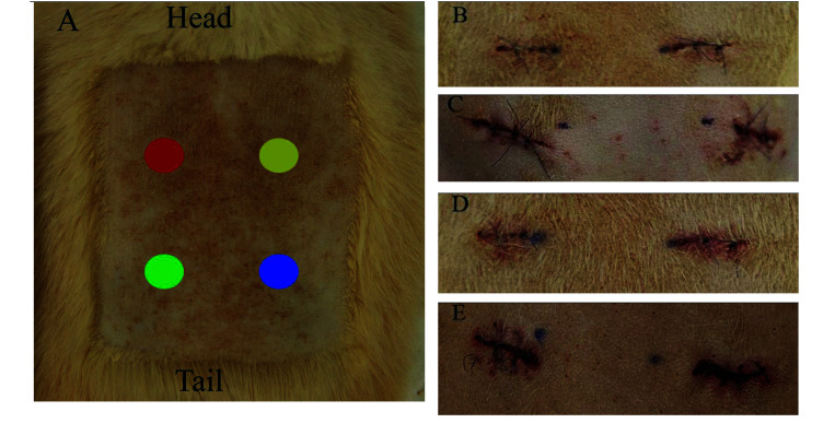 Figure 2.