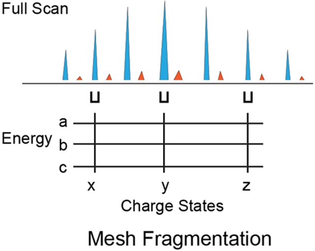 graphic file with name nihms-1769967-f0001.jpg