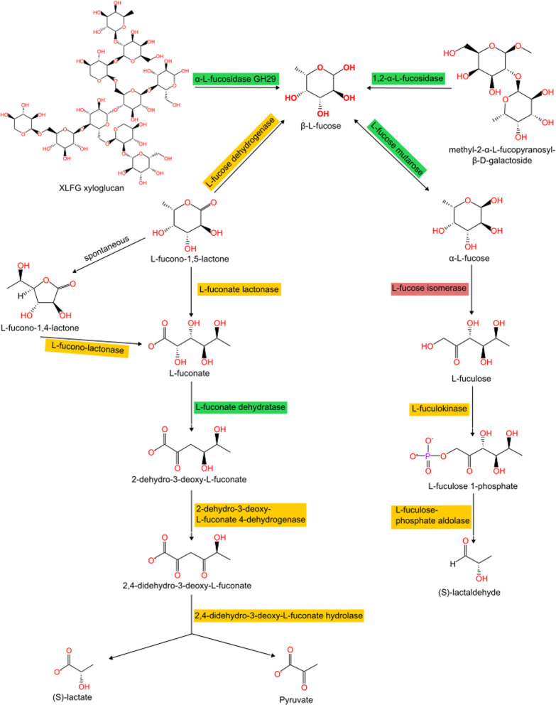 Fig. 7