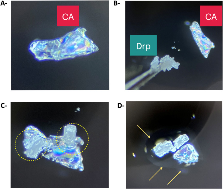 Fig. 8