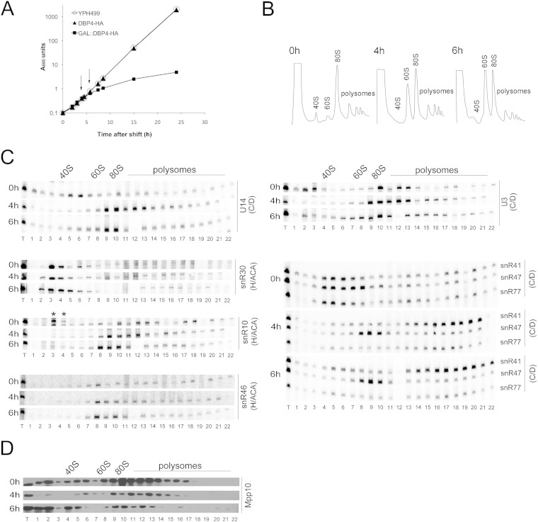 FIG 3