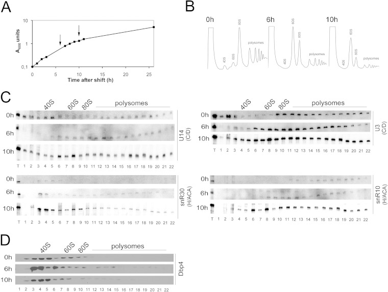 FIG 6