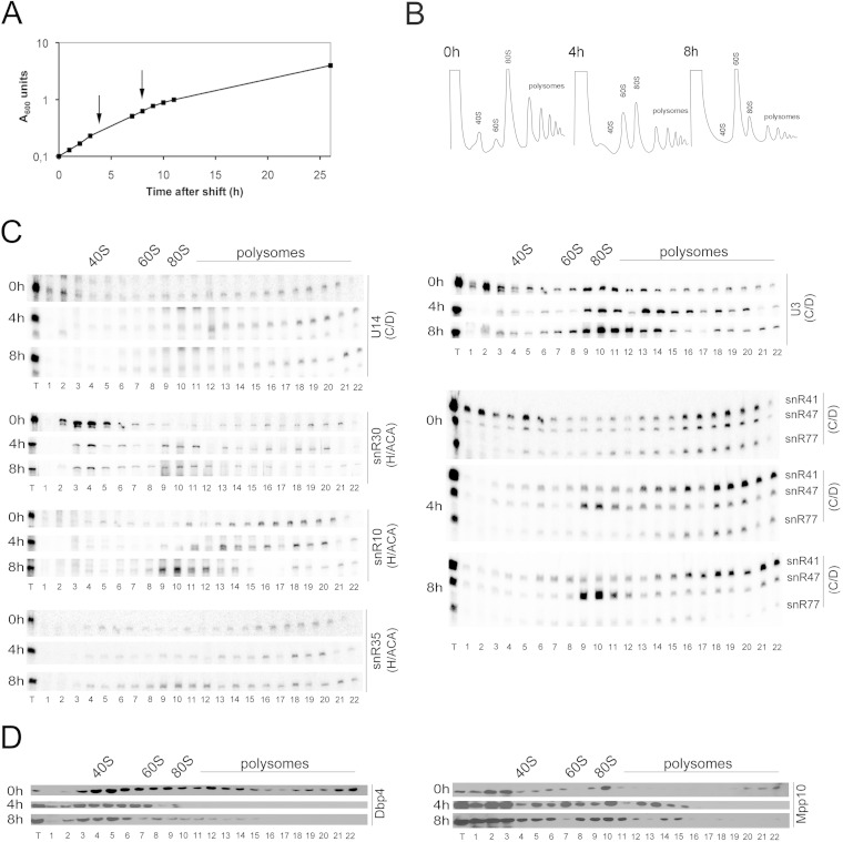 FIG 4