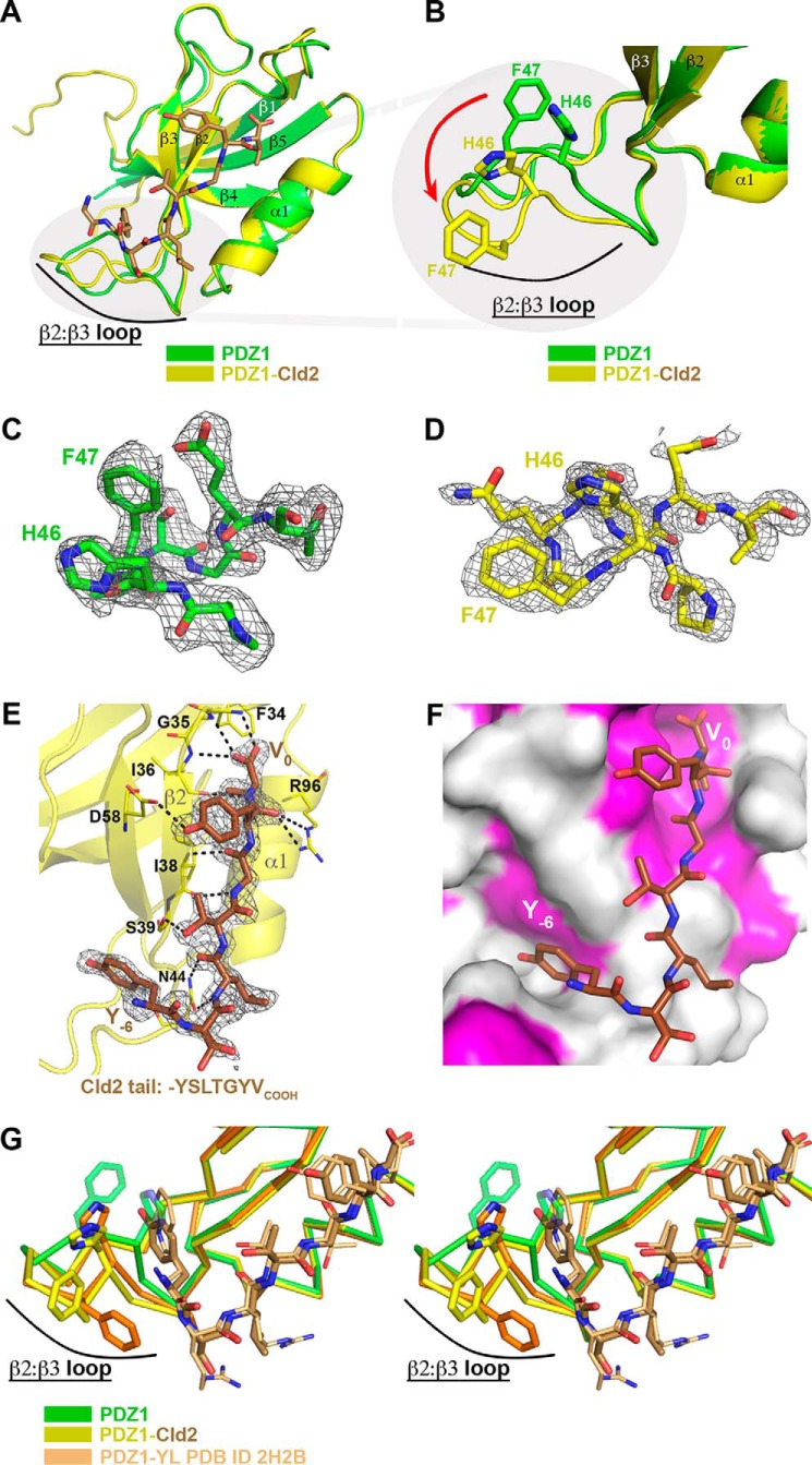 FIGURE 3.