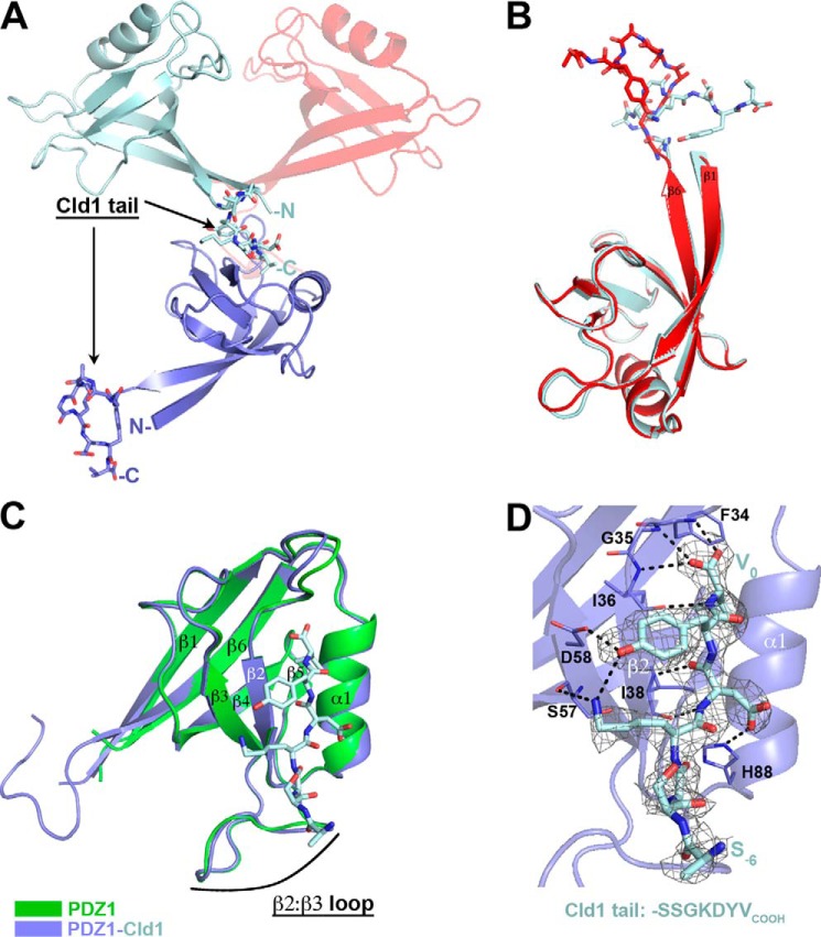 FIGURE 2.