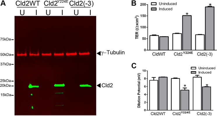 FIGURE 6.