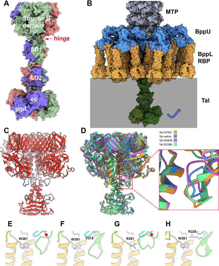 Fig 3