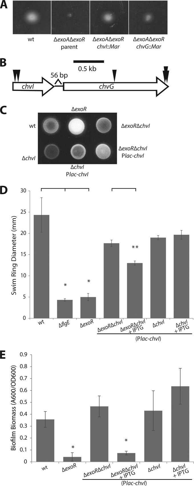 FIG 2