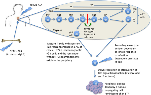 Fig 15.