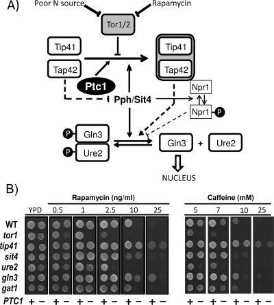 FIG. 6.