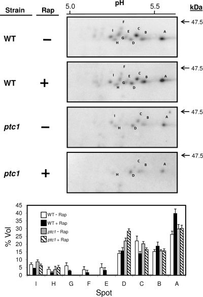 FIG. 9.