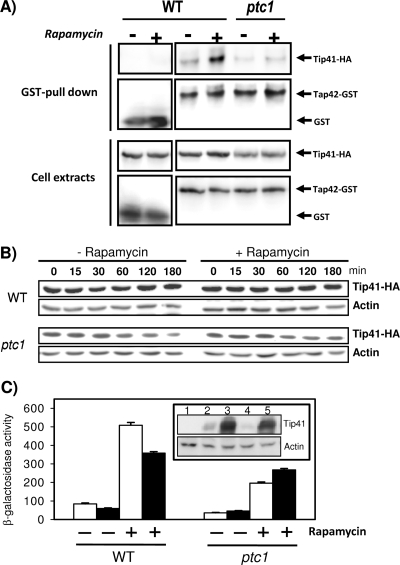 FIG. 8.