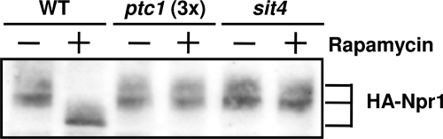 FIG. 5.