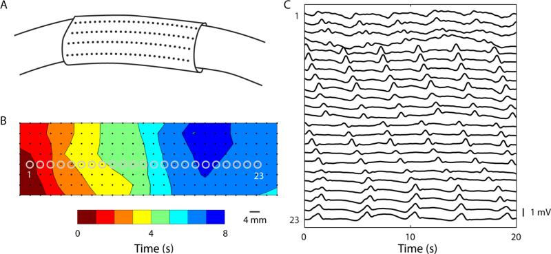 Figure 2