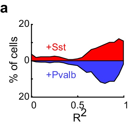 Figure 5—figure supplement 1.