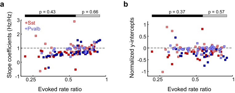 Figure 5—figure supplement 4.