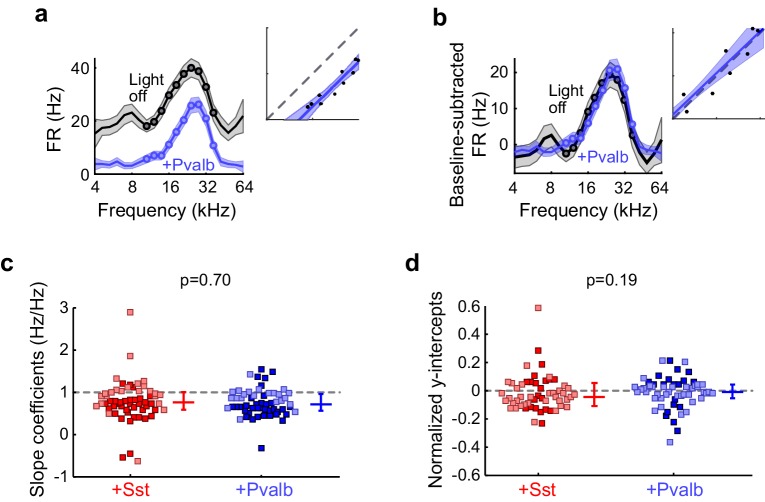 Figure 5—figure supplement 3.