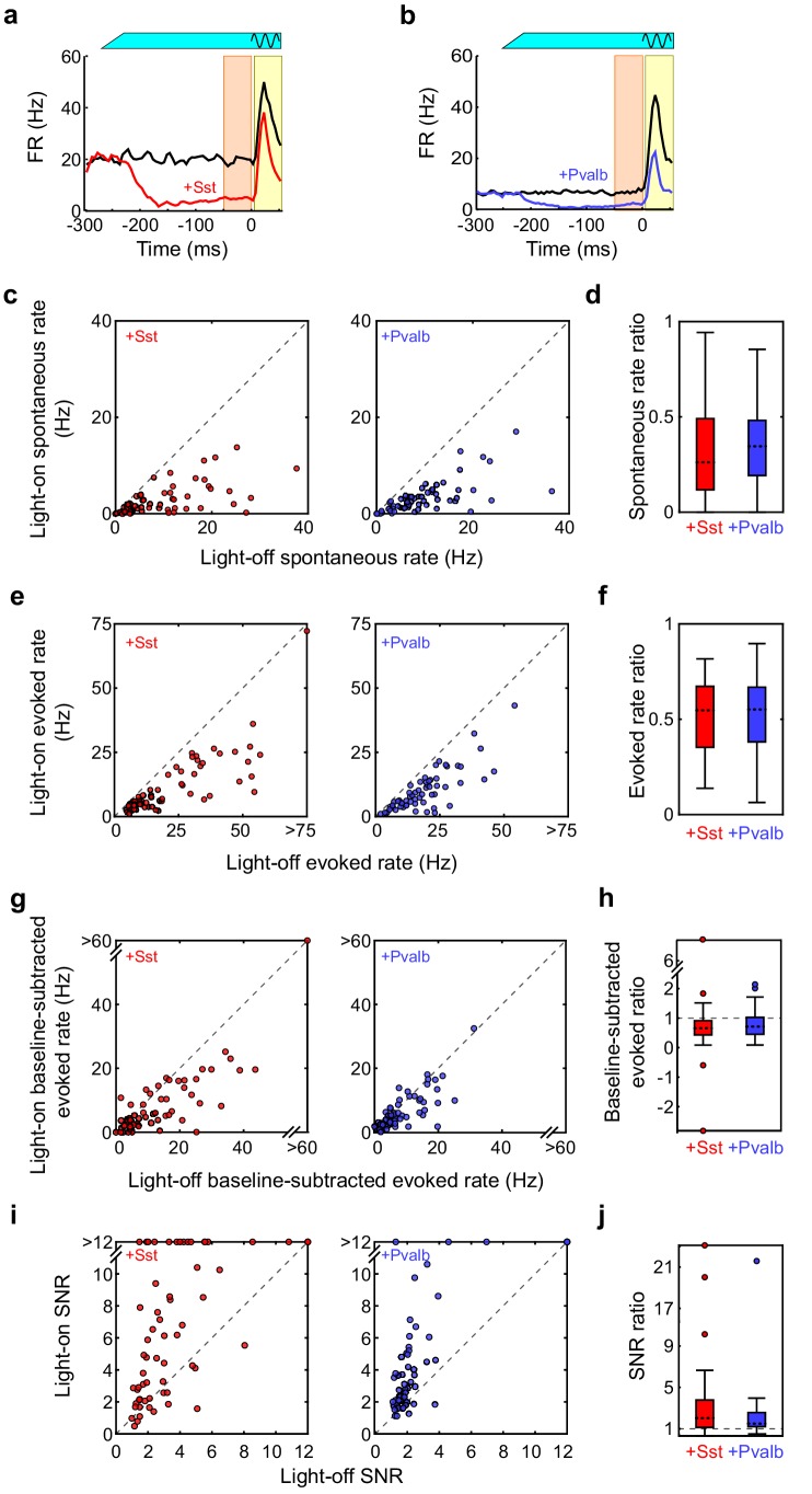 Figure 4—figure supplement 2.