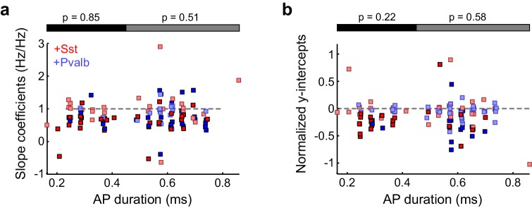 Figure 5—figure supplement 2.