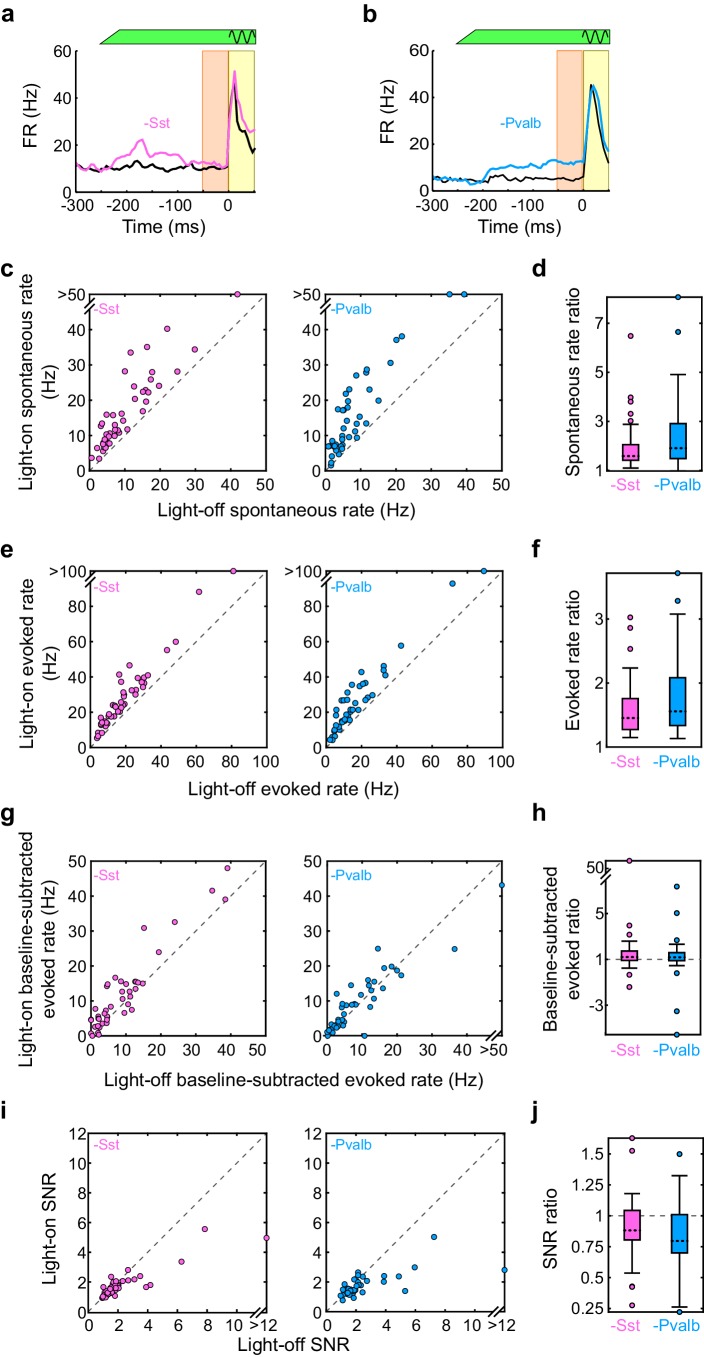 Figure 1—figure supplement 2.