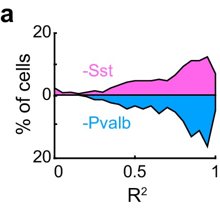 Figure 3—figure supplement 1.