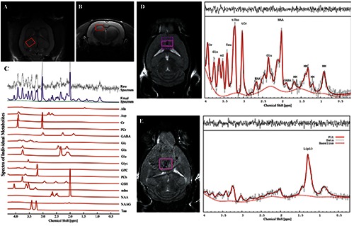 Figure 2.