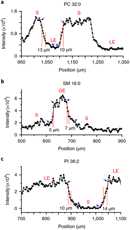 Fig. 6 |