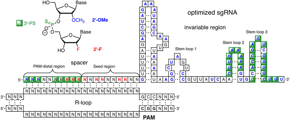 Figure 5.