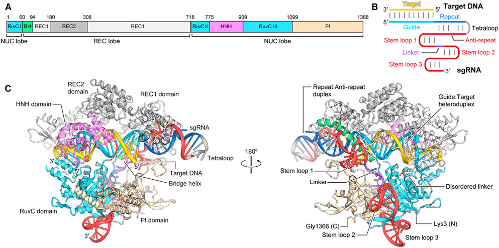 Figure 1.