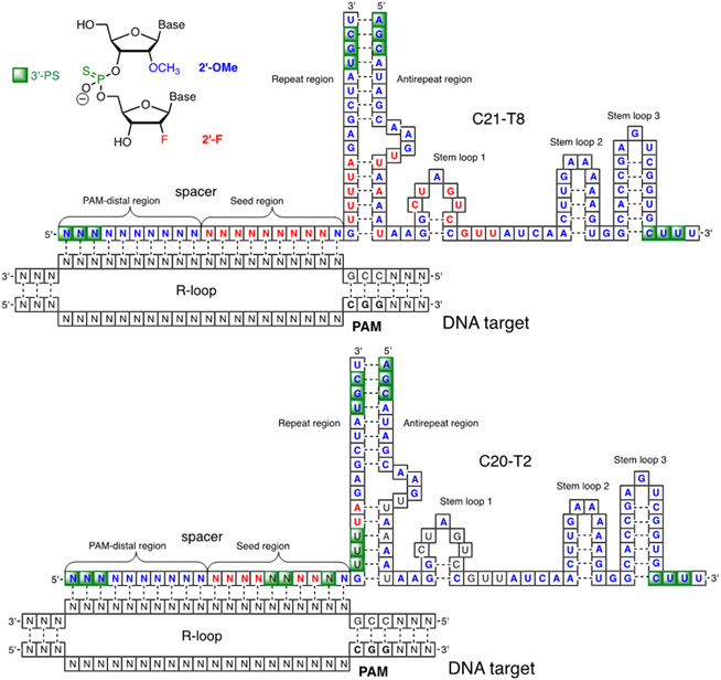 Figure 6.