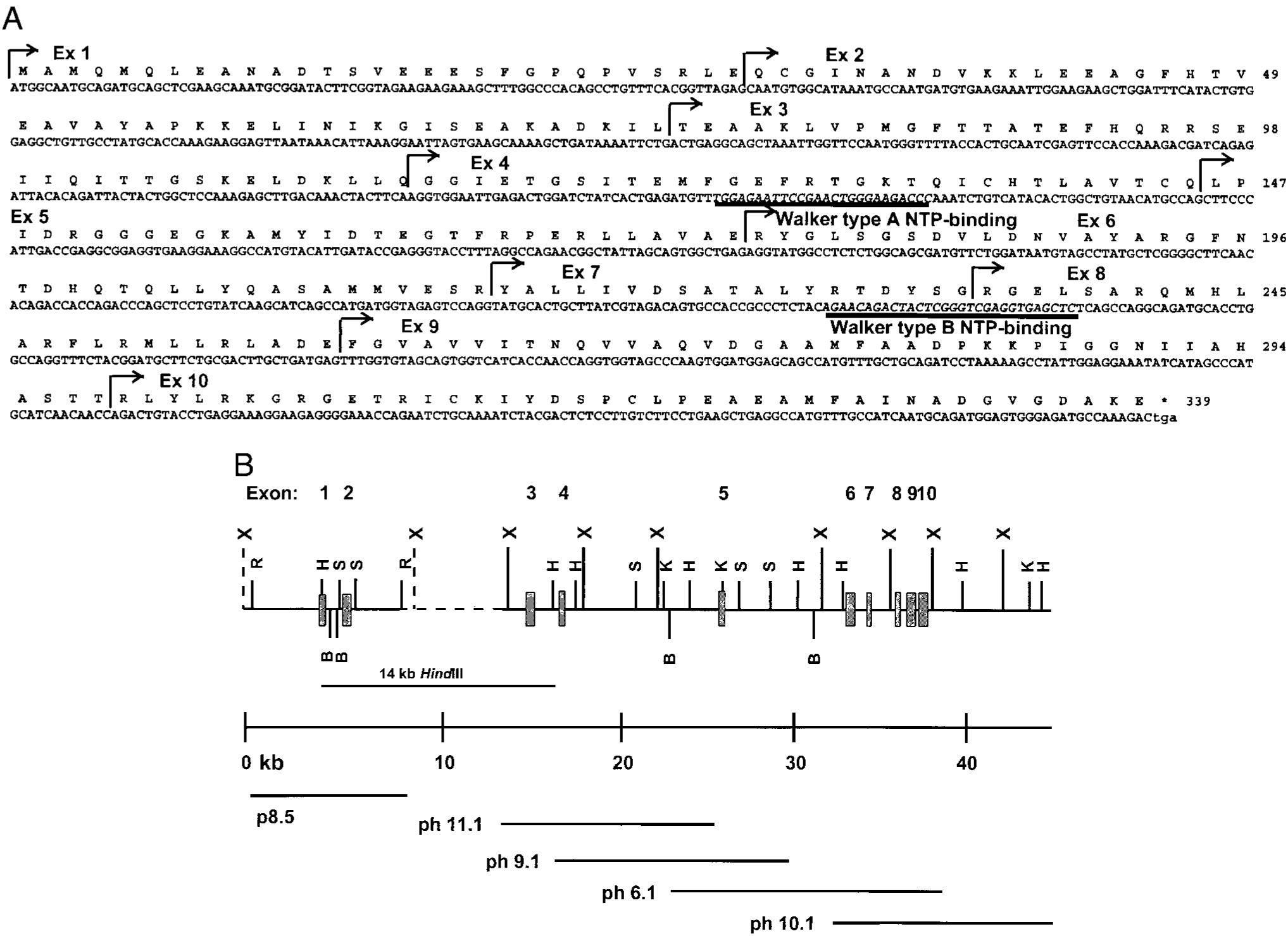 FIGURE 1.