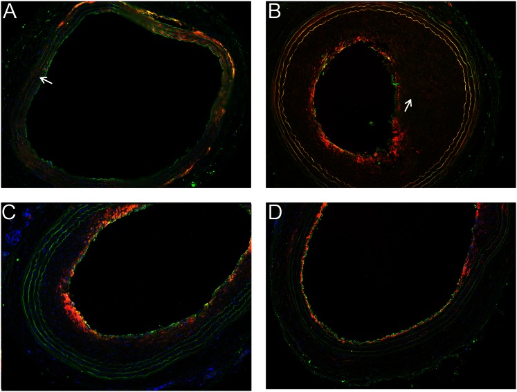 Fig. 4.