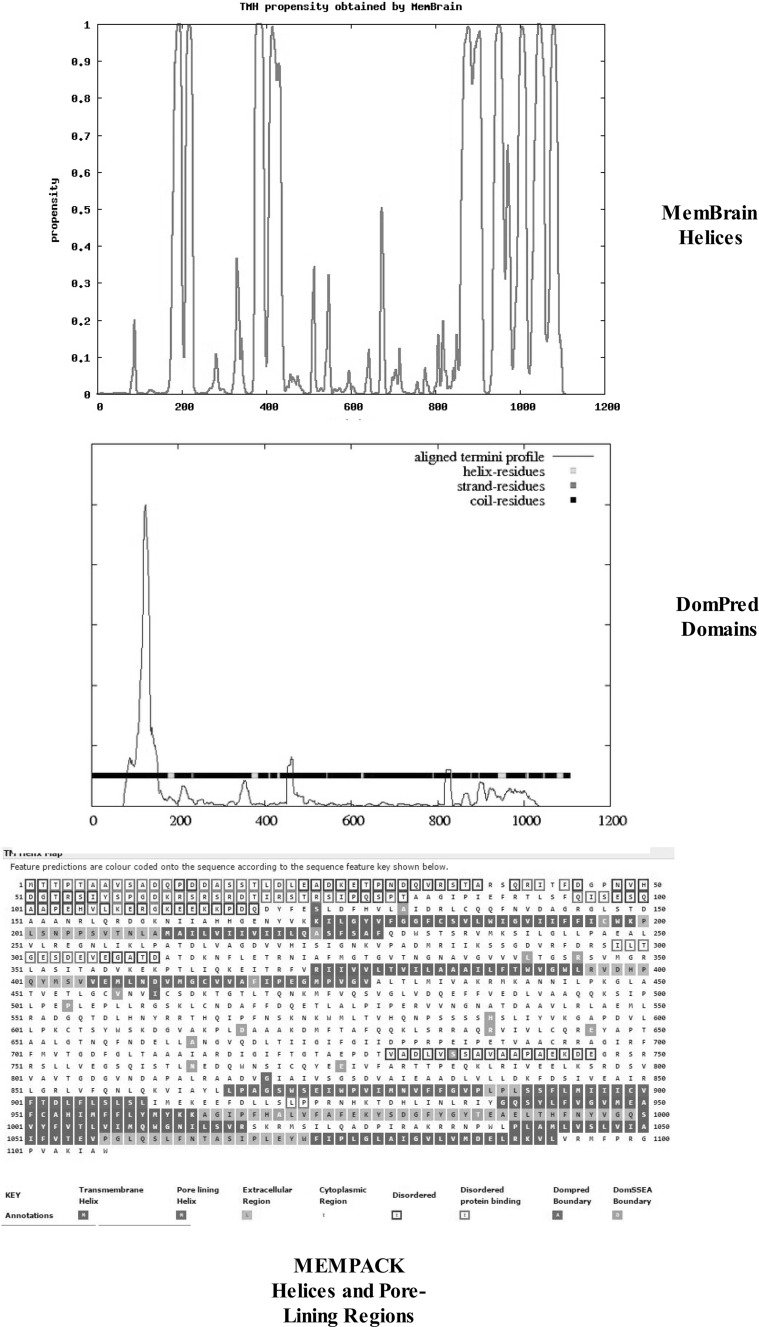 Fig. 7