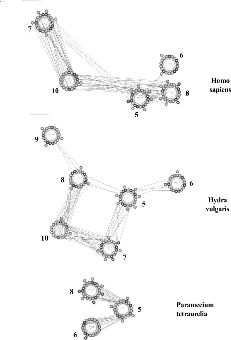 Fig. 5