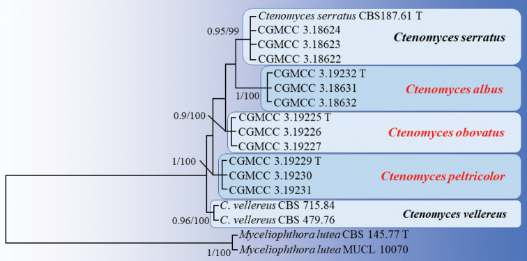 Figure 2.