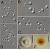 Figure 4.
