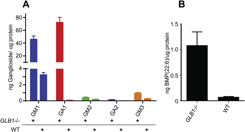 Fig. 3