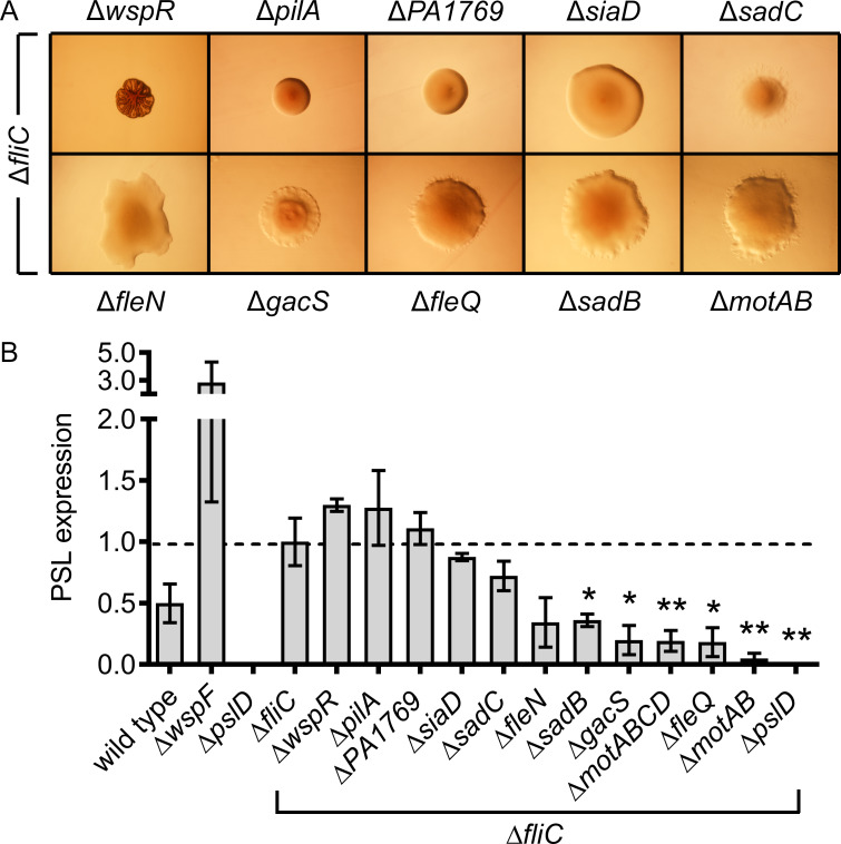 Fig 4