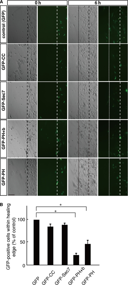 FIGURE 10.