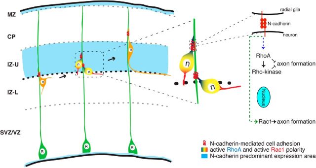 Figure 7.